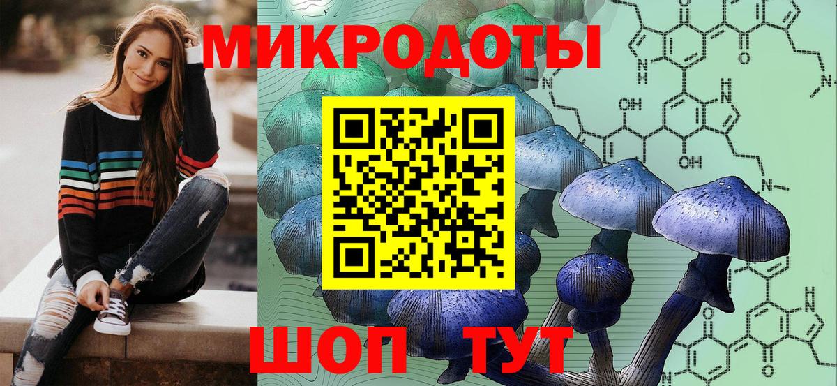 Качканар  Псилоцибиновые грибы ЛСД  Вход с VPN 